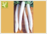 Hybrid Radish Seed