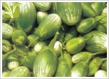 Hybrid Egg plant (Baigan) Seed