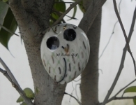 Owl Ceramic Knob