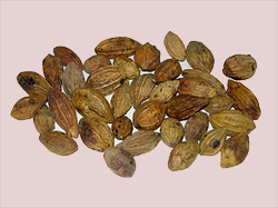 Haritaki Terminalia Chebula Kadukkai