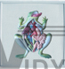 The Relief Model Of Frog