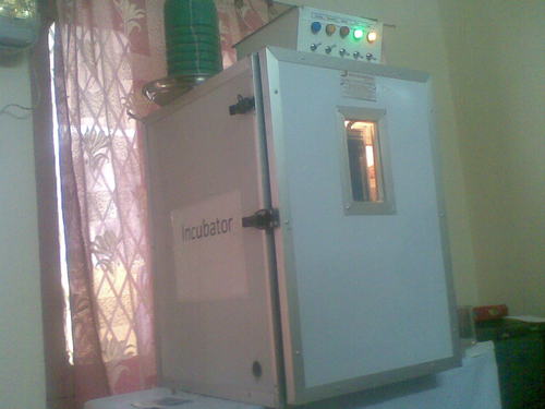 Poultry Setter Cum Hatcher