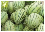 Hybrid Water Melon (Tarbuja) Seed