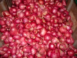 small Onion
