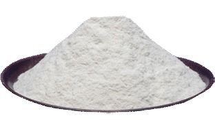 Dehydrated White Onion Powder