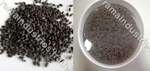 Basil Seed