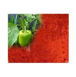 Dehydrated Capsicum Powder 