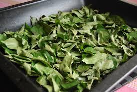 Dehydrated Curry Leaves 