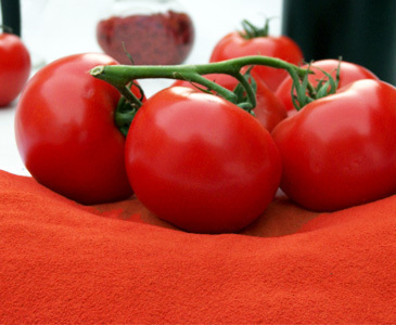 Tomato Spray Dried Powder By YESRAJ AGRO EXPORTS PVT. LTD.