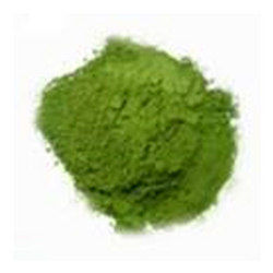 Spinach Spray Dried Powder