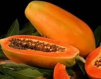 Spray Dried papaya-powder 