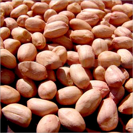 Groundnut Kernels