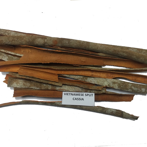 Vietnam Split Cassia
