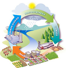 Biomass Energy