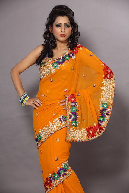 Indian Designer Saree 