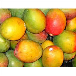 Fresh Fruits