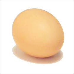 Egg