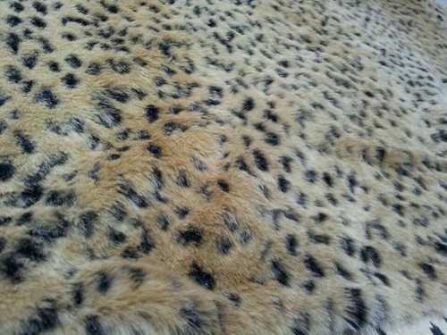 fur and sherpa fabric