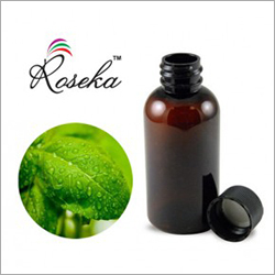 Indian Basil Essential Oils