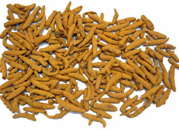 Organic Turmeric