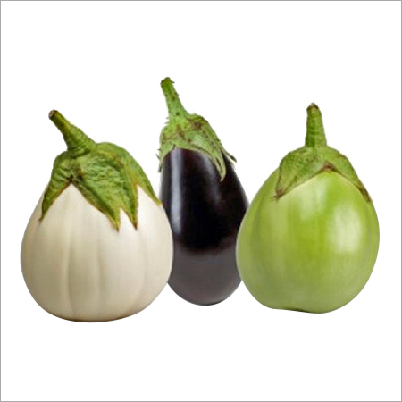 Brinjal