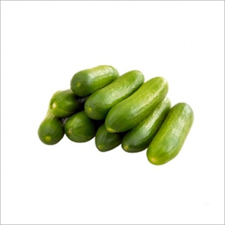 Cucumber - 6-12 Inches, 1.5-3 Inch Diameter, Green | Fresh, Crisp, Hydrating, Versatile, Nutritious, Delicious