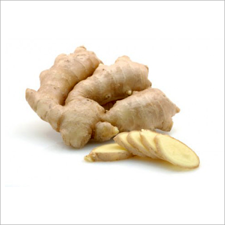 Ginger