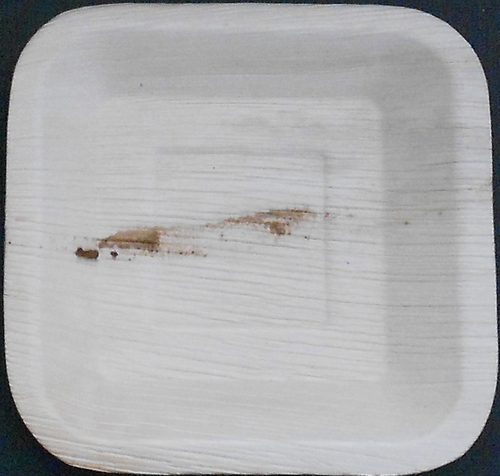 Areca Leaf Plates