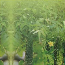 Pancridin Ayurvedic Capsules