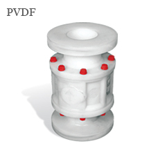 PVDF Ball Check Valves