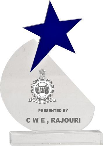 Custom Acrylic Trophy