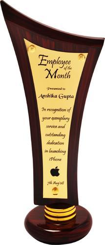Corporate Event Trophy