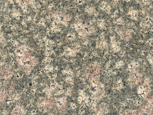 Bala Flower Granite 