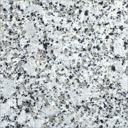 Platinum White Granite