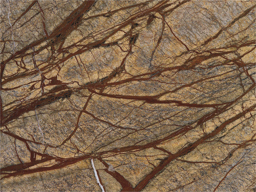 Rain Forest Brown Granite - Granite, 2cm Thick, Brown, Polished | Durable, Elegant, Low Absorption, Hardness 7