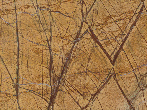 Rain Forest Gold Granite