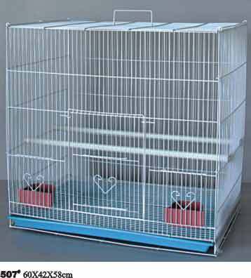 Birds Cage 507