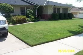 Grass Carpets