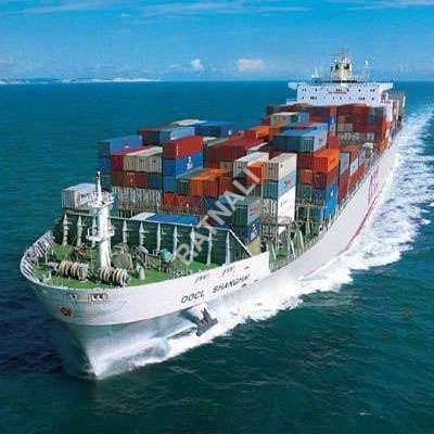 Sea Cargo Freight Forwarding
