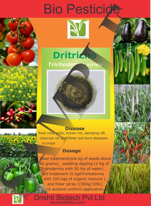 Trichoderma Viride