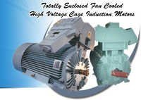 Induction Electric Motor