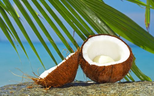 Fresh Coconut