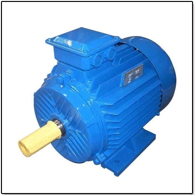 3 Phase Induction Motors