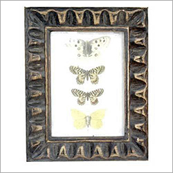Designer Gift Frames