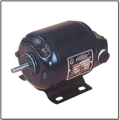 FHP Motor