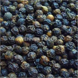 Black Pepper Spices