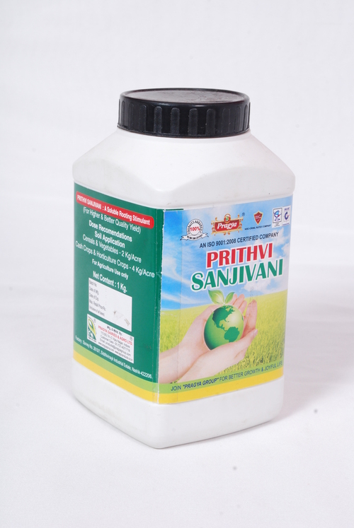 Prithvi Sanjivani
