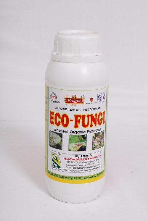 Eco-Fungi