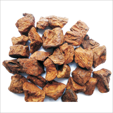 Chicory Cubes