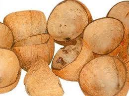 COCONUT SHELL